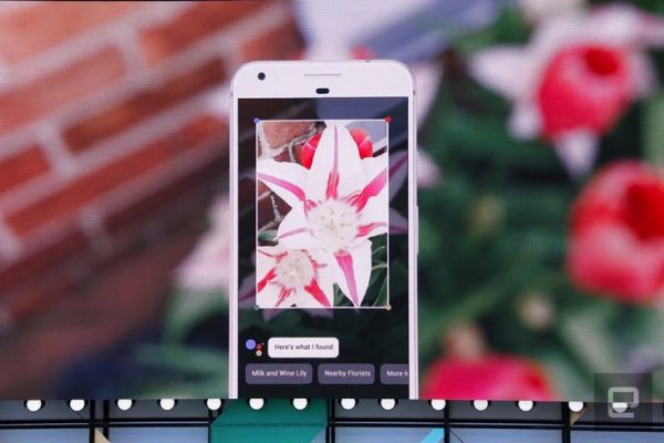Приложение Google Lens заработало на смартфонах Google Pixel первого поколения