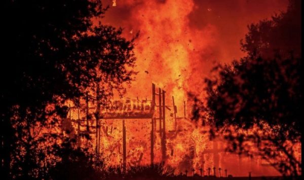 Apple пожертвует 1 миллион долларов на ликвидацию последствий пожаров в Северной Калифорнии