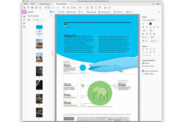 Топ-5 редакторов PDF для macOS