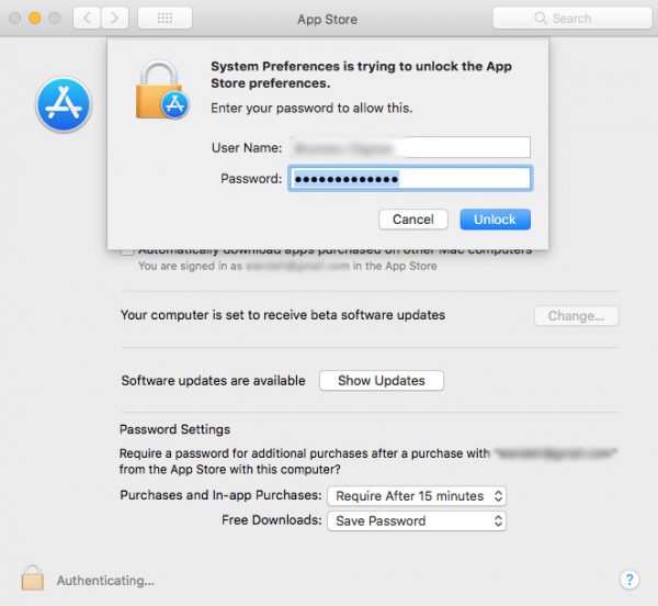 В macOS High Sierra 10.13.2 для изменения системных настроек App Store подойдет любой пароль