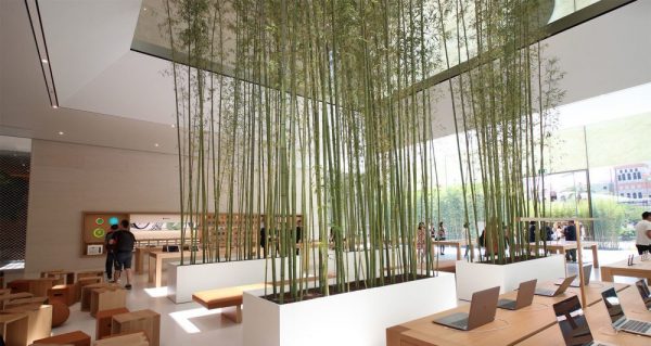Каменные шторы и бамбук — Apple готовится к открытию еще одного магазина в Китае