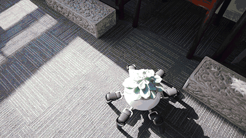 Компания Vincross выпустила робота-садовника
