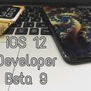 Apple выпустила iOS 12 beta 9 для разработчиков