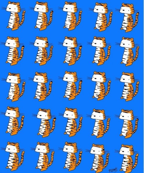 Головоломка о тигре без двойника озадачила пользователей Сети
