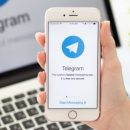 Лена Миро призвала юзеров настроить VPN в связи с вероятной блокировкой Telegram